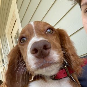 Meet your Posher, Ben